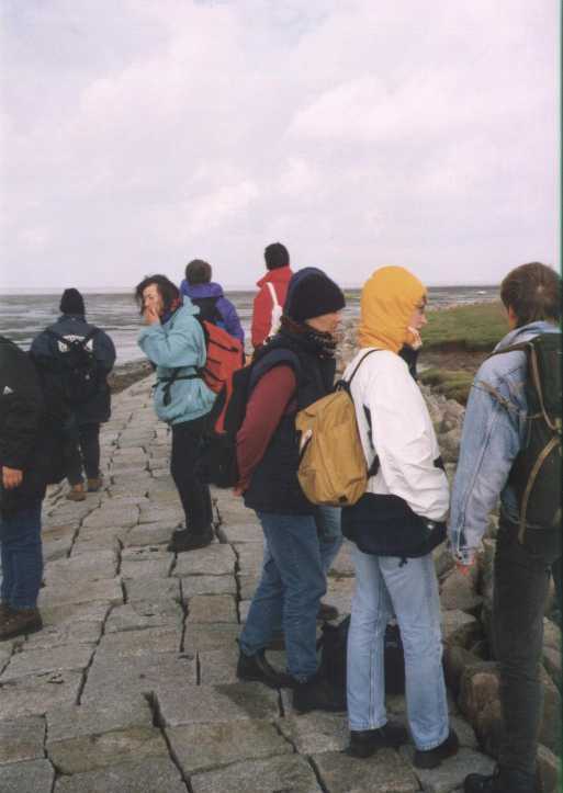 Gruppenbild mit Steinen